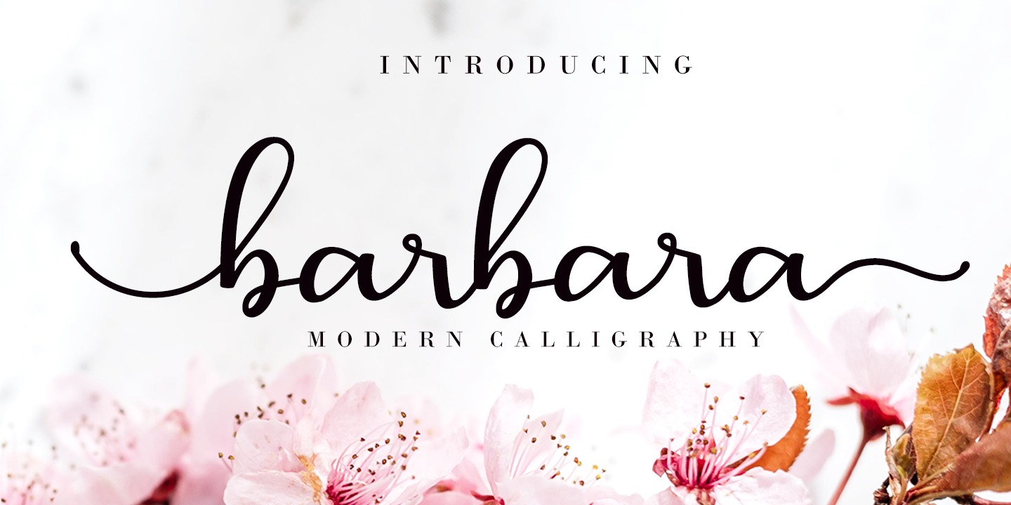 Przykład czcionki Barbara Calligraphy